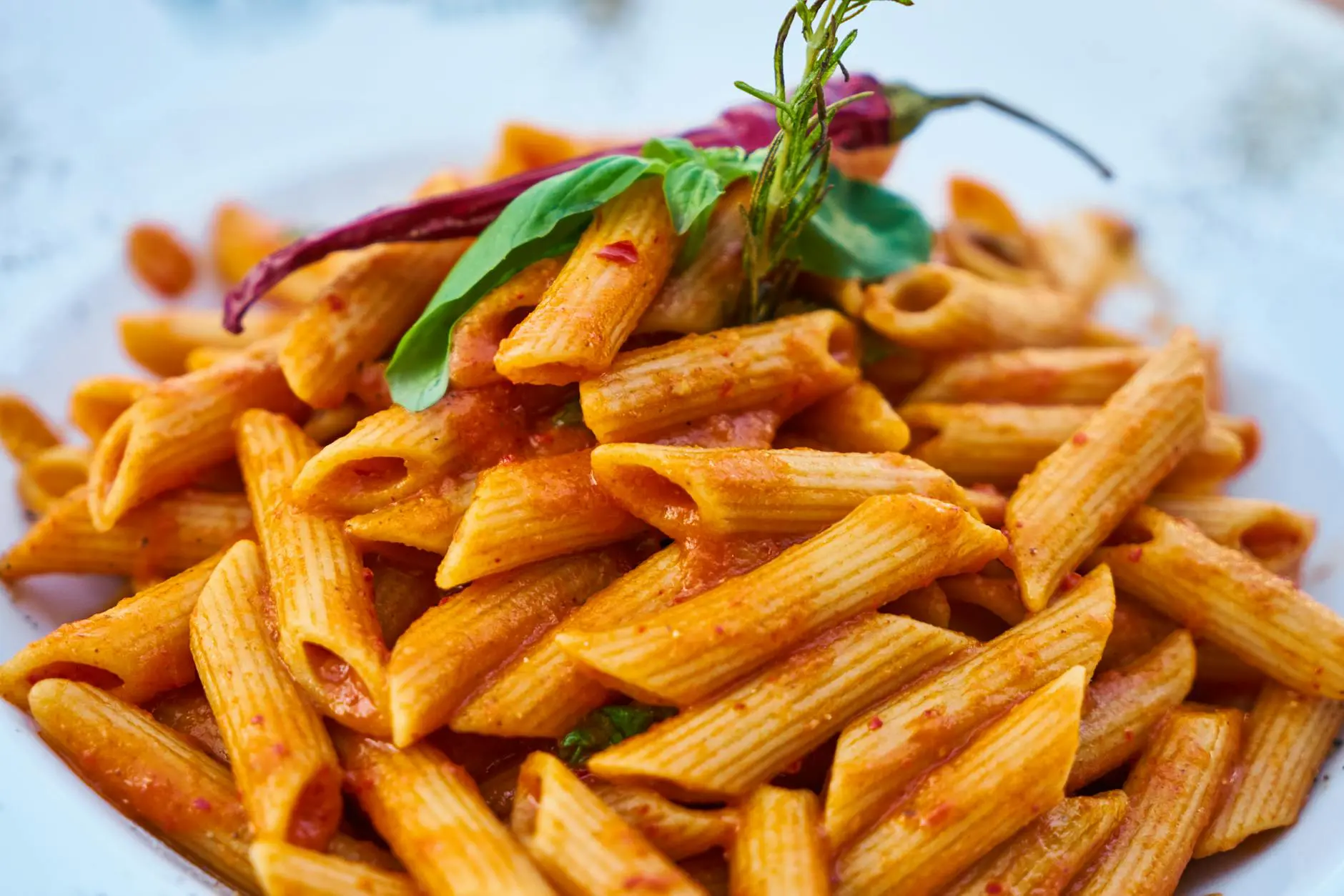 closes up photo of macaroni